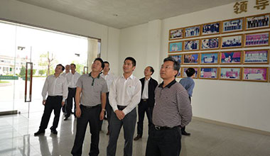 省農業(yè)廳副廳長牛寶俊蒞臨霸王花食品公司檢查指導工作