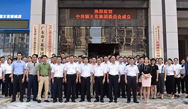 廣東霸王花集團黨委正式成立，“紅色引擎”引領(lǐng)企業(yè)行穩(wěn)致遠