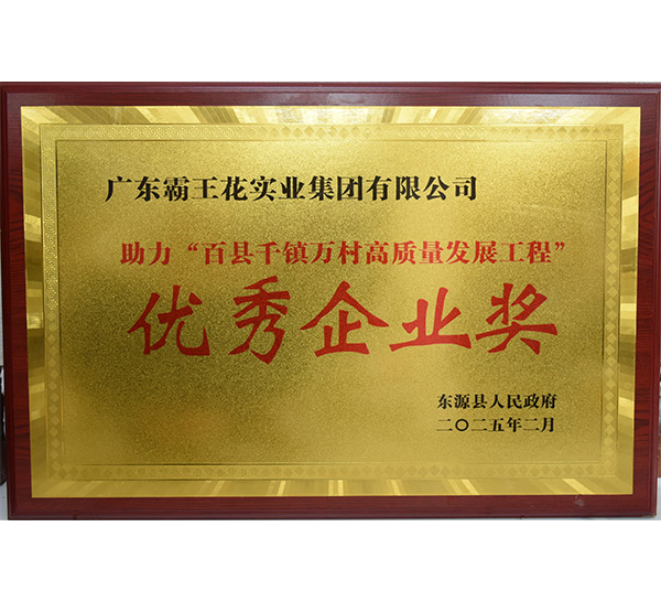 助力“百縣千鎮萬村高質量發展工程”優秀企業